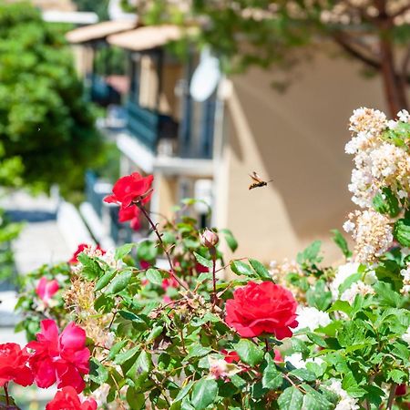 آغيوس غوذيوس Apart Hotel Blumarin المظهر الخارجي الصورة